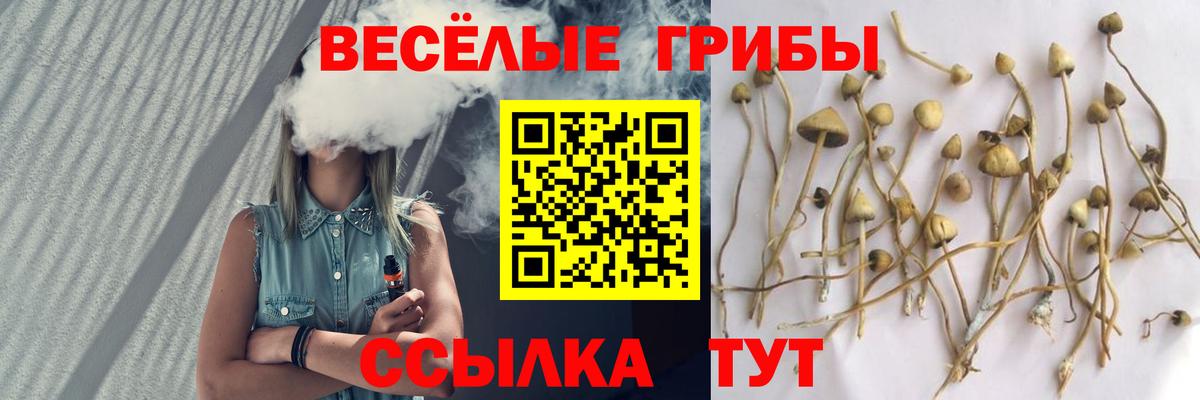 Псилоцибиновые грибы мухоморы  наркотики  Ярцево  Псилоцибиновые грибы GOLDEN TEACHER  Вход с VPN 